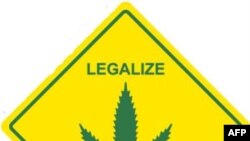 Споры о легализации наркотиков не стихают