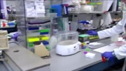 治疗癌症的新希望