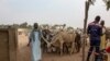 FILE - A man is seen with his herd at a cattle market in Maroua, Cameroo, March 2, 2020. 
