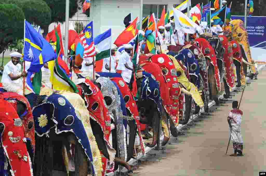 Sejumalah laki-laki Sri Lanka dalam kostum tradisional mereka duduk di atas gajah dengan memegang bendera nasional negara-negara Persemakmuran di luar Gedung Konferensi Internasional Peringatan Bandaranaike dalam upacara pembukaan KTT Negara-Negara Persemakmuran di Colombo. 