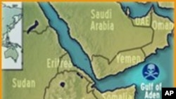 Somali Pirates Deny Arms Seizure