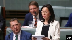 澳大利亚有史以来第一位华裔联邦议会议员廖婵娥在澳大利亚众议院发言。（2019年7月25）