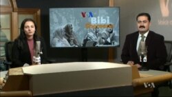 بي بي شیرینه – وي او اې ډيوه په ټیلې ویژن