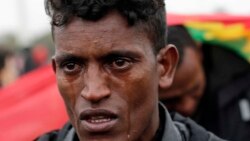 “የዐስራ አንድ ዓመት ሕፃናት ጭምር አሉ” የ”ጫካው” ስደተኛ