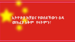 ኢትዮጵያ ከቻይና የወሰደችውን ዕዳ መክፈል የማትችልበት አቅም የላትምን ?
