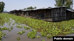 በአማራ ክልል ዘንድሮ በጣለው ከፍተኛ ዝናብ ስዎች ተፈናቀሉ