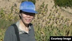 清华大学社会学系教授郭于华