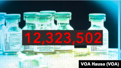 Adadin Masu Coronavirus a Duniya