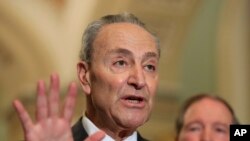 资料照:参议院少数党领袖舒默。