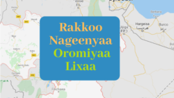 Namoonni Oromiyaa Lixaa Irraa Dheessanii fi Hayyoonni Rakkoon Naannoo Sanatti Akka Furmaatni Siyaasaa Kennamu Gaafatan