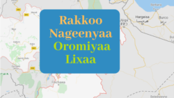 Jaarsoliin Biyyaa fi Hayyoonni Siyaasaa Ajjeechaan Lammiilee Nagaa Irratti Raaw’atamu Dhaabachuu Qaba, Jedhan