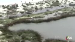 ሀሪኬን ኢርማ