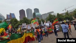 በኔዘርላንድስ የሚኖሩ ኢትዮጵያውያን ሰላማዊ ሰልፍ