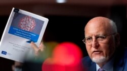 Drejtori i Qendrave për Kontrollin dhe Parandalimin e Sëmundjeve, Dr. Robert Redfield flet në një seancë të senatit për koronavirusin.