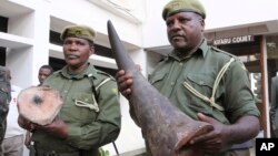 아프리카 모잠비크에서 케냐 나이로비를 거쳐 태국 방콕으로 밀매되던 코뿔소 뿔이, 나이로비 공항에서 적발됐다. (자료사진)