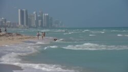 有人愿辞高薪工作在佛州海滩捡垃圾却甘之如饴