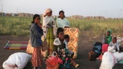 Waraansi Naannoo Tigraay Sudaan, Eertraa fi Somaaliyaa Irratti Dhiibbaa Fidaa Jira: Xiinxaltoota