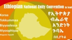 የኢትዮጵያዊያን ጉባዔ በሲያትል (ዘገባ)