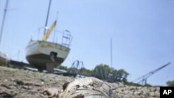 A dead fish lays near sailboats left high and dry at Benbrook Lake in Benbrook, Texas, Tuesday, Aug. 16, 2011.