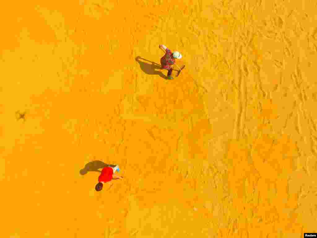 ដំណាំ​ត្រូវ​បាន​ដាក់សម្ងួត​នៅ​កសិដ្ឋាន​មួយ​ក្នុង​ក្រុង Liaocheng ខេត្ត Shandong ប្រទេស​ចិន។