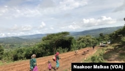 Faayilii - Oromiyaa Lixaa