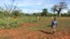 Charity Mwangome walks along the beehive fence she has built at her farm to help protect her crops from elephants, in Taita-Taveta area, Kenya, April 19, 2016. 