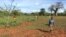 Charity Mwangome walks along the beehive fence she has built at her farm to help protect her crops from elephants, in Taita-Taveta area, Kenya, April 19, 2016. 