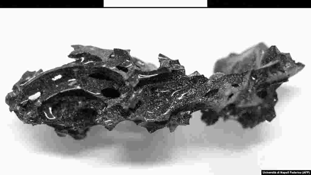 A fragment of organic glass of an ancient Romans brain, which a volcanic eruption turned to glass.