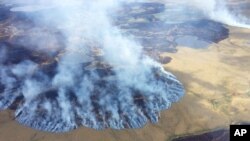 There and even in the sub-Arctic part of the state, he will see the damage caused by warming, damage that has been evident to scientists for years. (Matt Snyder/Alaska Division of Forestry via AP)