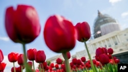 华盛顿是中国游客青睐的美国城市之一