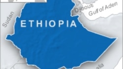 የሶማሌ ክልል ልዩ ኃይል በሞያሌ አዲስ ጥቃት አደረሰ