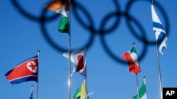 朝鲜国旗（左）与其他与会国家旗帜共同飘扬在韩国平昌冬奥会会场上空。（2018年2月1日）
