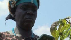 L'IA au service des agriculteurs kényans pour diagnostiquer les maladies des plantes