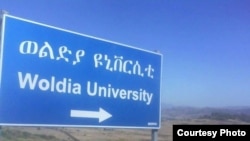 Woldia University