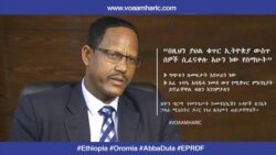 “በዚህን ያህል ቁጥር ኢትዮጵያ ውስጥ ሰዎች ሲፈናቀሉ አሁን ነው የሰማሁት” - ዶ/ር ነገሪ ሌንጮ