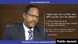 የመንግሥት ኮምዩኒኬሽንስ ጉዳዮች ጽ/ቤት ኃላፊ ሚኒስትር ዶ/ር ነገሪ ሌንጮ