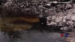 壳牌石油被控清理尼日利亚石油泄漏不力