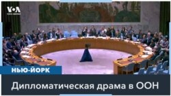 Страны Евросоюза не поддержали резолюцию США в СБ ООН 