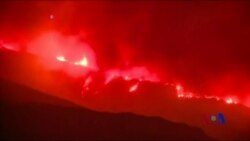 美国西部野火频发 多地打破高温纪录