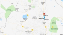 ኣብ ከተማታት ወልድያ፡ መርሳን ቆቦን ኣብያተ ንግድን ኦዮም ምዕጻውን፡ መንእሰያት ይእሰሩ ከምዘለው ነበርቲ ገሊጾም