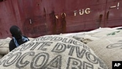 Koko (Cocoa) ne dai kashin bayan tattalin arzikin Kamaru