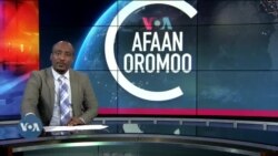 Tamsaasa Guyaadhaa Guyyaa