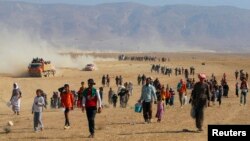 حملات شبه نظامیان به شهر سنجار دهها هزار تن از اقلیت ایزدی را آواره کرد