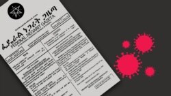 የኮቪድ 19 መከላከያ እርምጃዎች ህገ-መንግስታዊነት