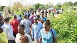 በከዚራ ጥላ ሥር