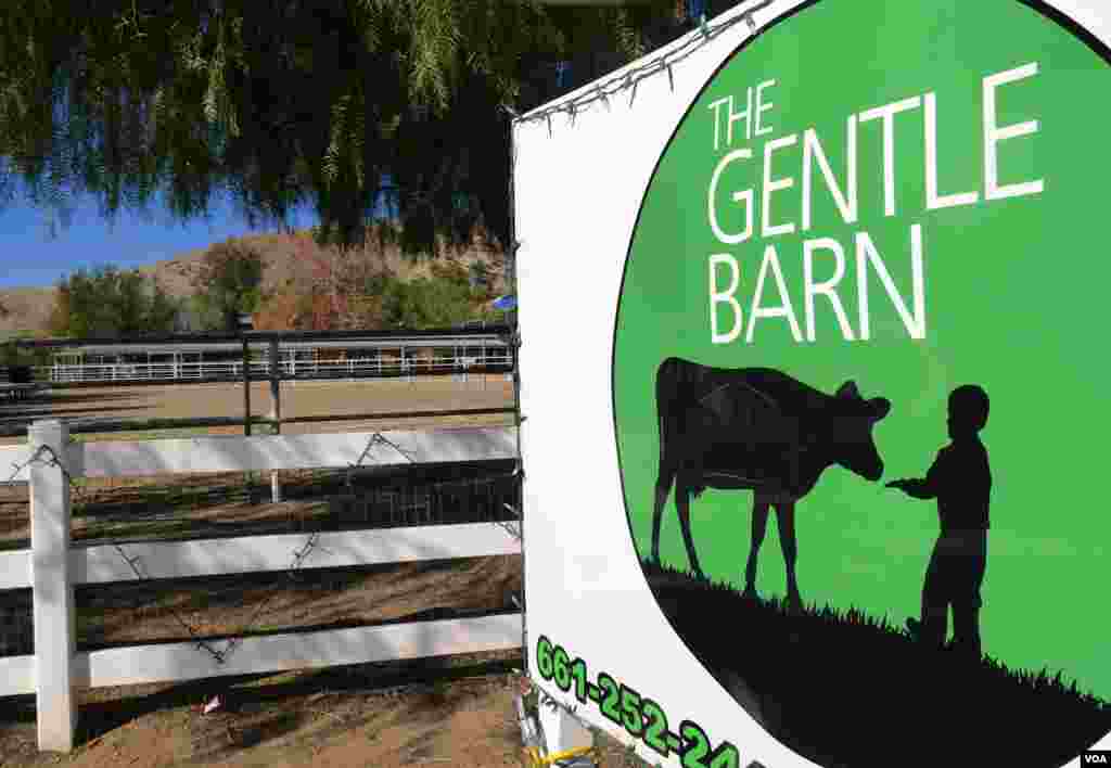Drachenburg Castle is illuminated with an installation by German light artist Wolfgang Flammersfeld in Koenigswinter near Bonn, Germany, Feb. 22, 2015.
