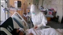 სტუდია ვაშინგტონი, 11 თებერვალი