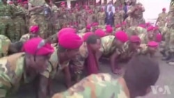 240 ዝኾኑ ኣባላት ሰራዊት ምክልኻል ኢትዮጵያ፡ ሕቶ ደሞዝ ኣልዒሎም ሎሚ ናብ ቤተ-መንግስቲ ምምርሖም ዝተወሰነ ስንባደ ፈጢሩ ምንባሩ ተፈሊጡ