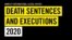 国际特赦组织发表的2020年全球死刑判决与执行报告的封面。