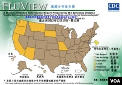 美国流感活动分布图(2012年第52周）